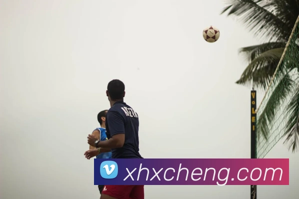 平台展示图